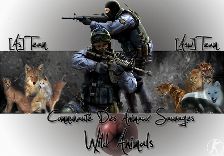 Communauté Wild Animals, Counter Strike Source
